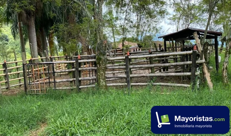 Finca ganadera de 14,7 ha en Jericó, Antioquia — foto 10 de 10