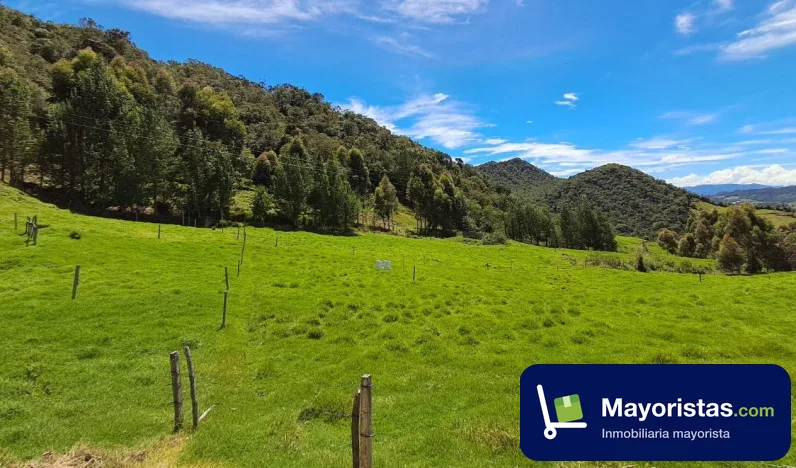 Finca ganadera de 26,9 ha en El Carmen de Viboral, Antioquia
