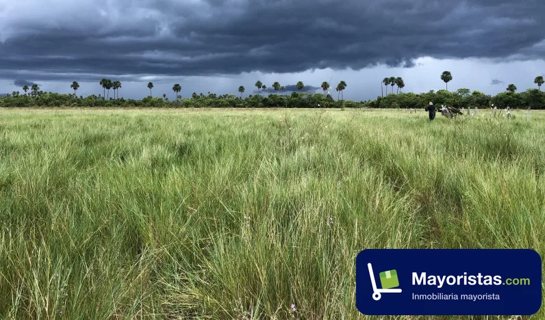 Finca ganadera de 94 ha en Villanueva, Casanare