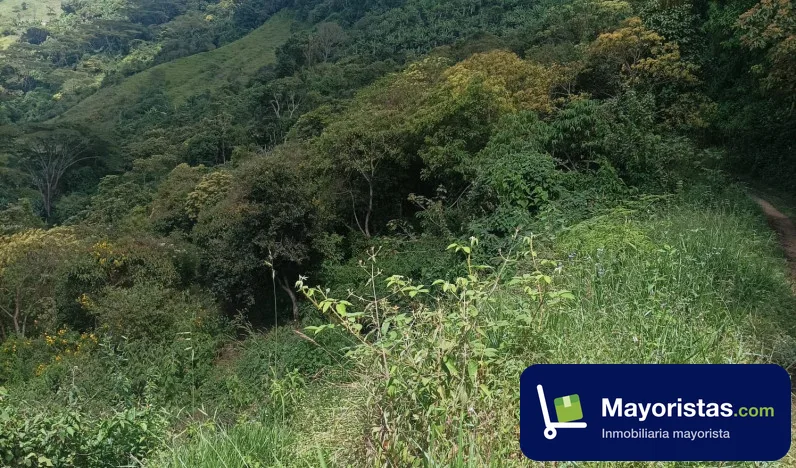 Finca agrícola de 4,3 ha en Olaya, Antioquia