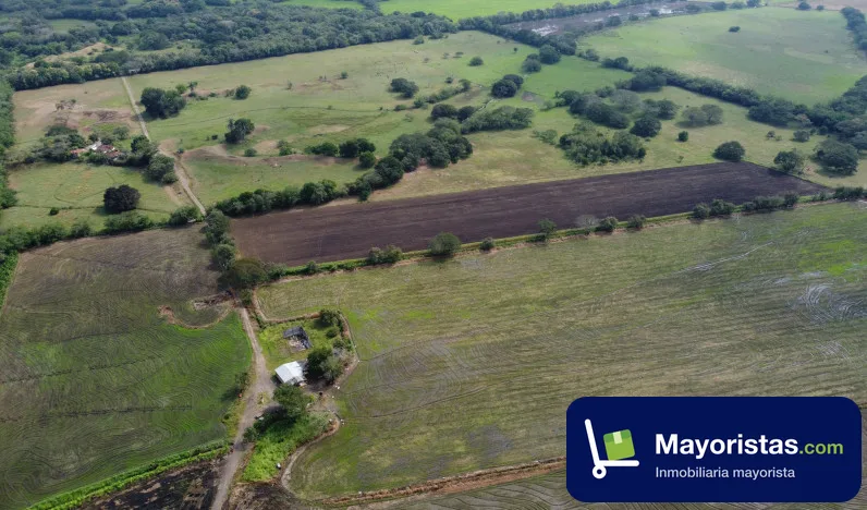 Finca agrícola de 64 ha en Armero, Tolima