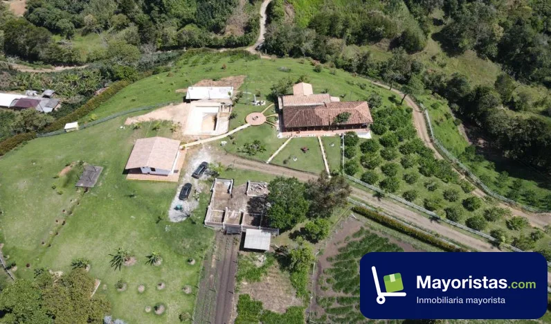 Finca ganadera de 37 ha en Ebéjico, Antioquia — foto 9 de 10