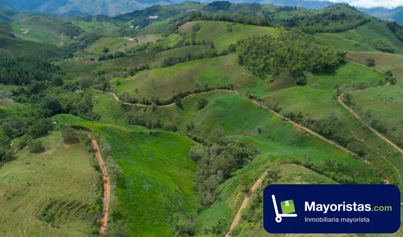 Finca ganadera de 55 ha en Restrepo, Valle del Cauca