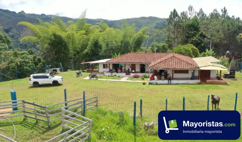 Finca ganadera de 55 ha en Restrepo, Valle del Cauca — foto 10 de 10