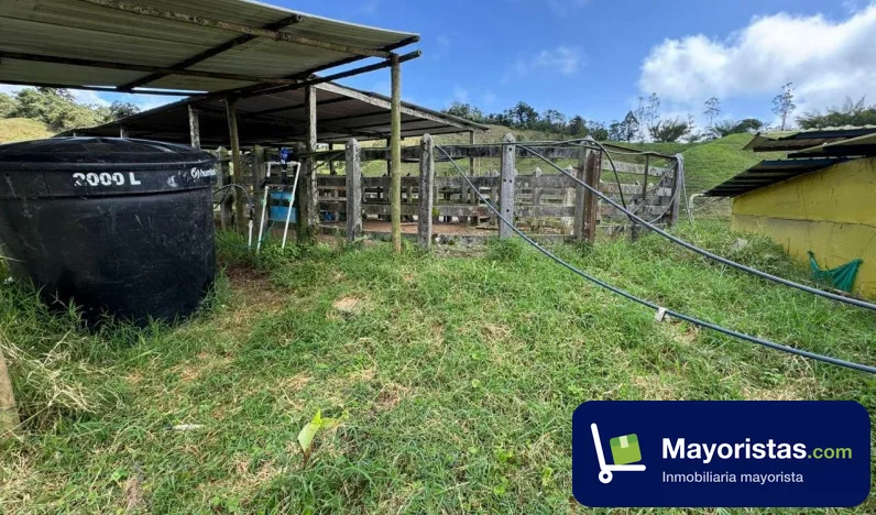 Finca ganadera de 55 ha en Restrepo, Valle del Cauca — foto 9 de 10