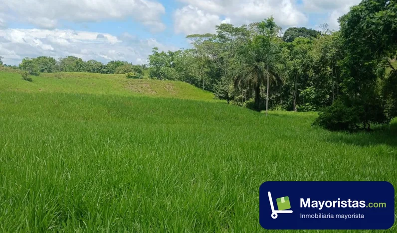 Finca ganadera de 200 ha en Cimitarra, Santander