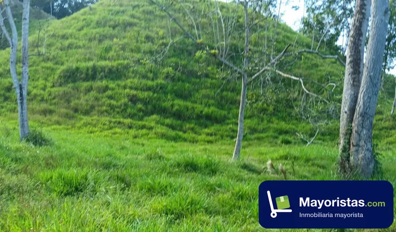 Finca ganadera de 200 ha en Cimitarra, Santander — foto 9 de 9