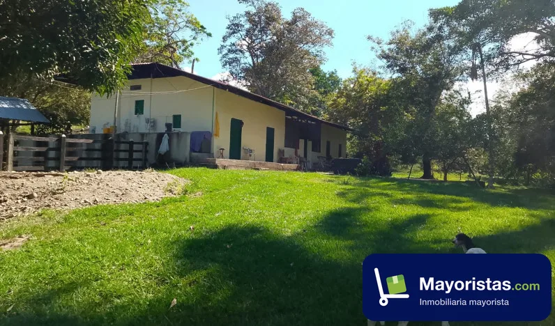 Finca ganadera de 306 ha en La Dorada, Caldas — foto 10 de 10