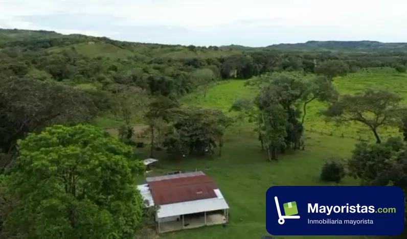 Finca ganadera de 268 ha en Monterrey, Casanare — foto 9 de 9