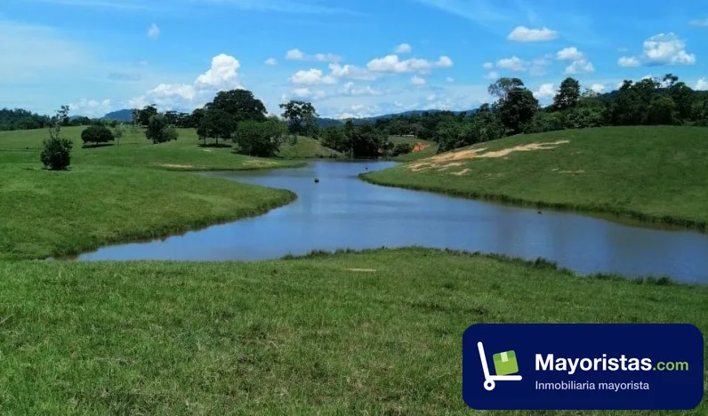 Finca ganadera de 320 ha en Puerto Berrío, Antioquia
