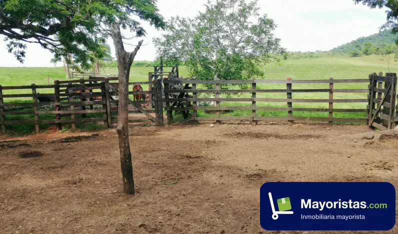 Finca ganadera de 320 ha en Puerto Berrío, Antioquia — foto 9 de 10