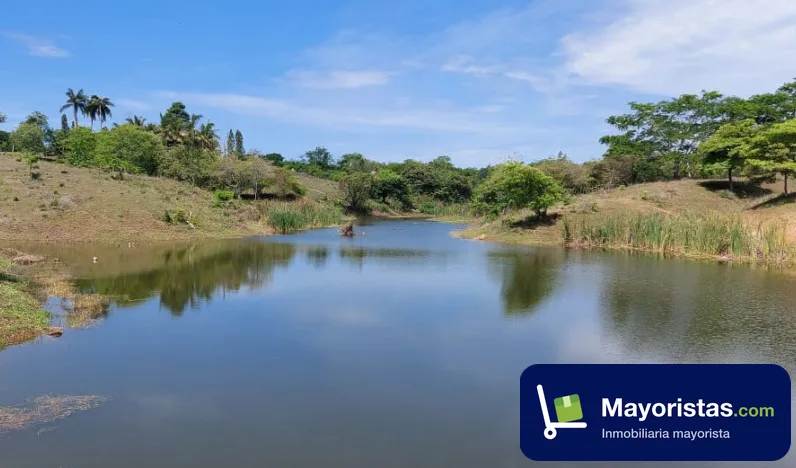 Finca ganadera de 44,5 ha en Arjona, Bolívar