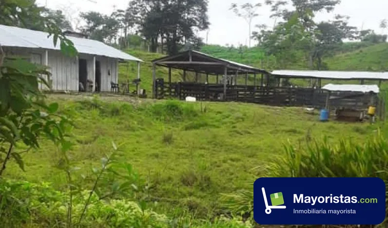 Finca ganadera de 120 ha en Mutatá, Antioquia — foto 9 de 9