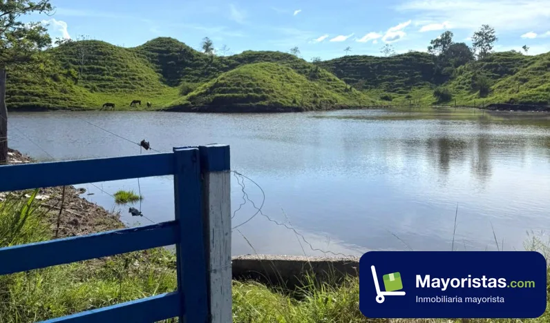 Finca ganadera de 200 ha en Puerto Salgar, Cundinamarca