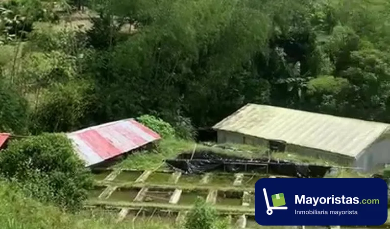 Finca agrícola de 3 ha en San Rafael, Antioquia
