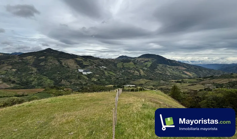 Finca ganadera de 10,5 ha en Sonsón, Antioquia