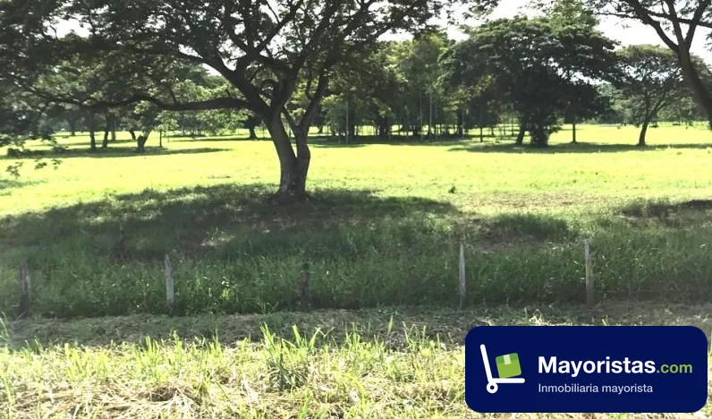 Finca ganadera de 130 ha en Puerto Salgar, Cundinamarca — foto 9 de 10