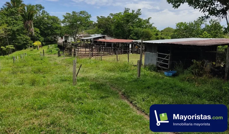 Finca ganadera de 330 ha en Puerto Boyacá, Boyacá — foto 9 de 10
