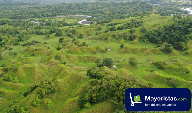 Finca ganadera de 300 ha en Puerto Boyacá, Boyacá