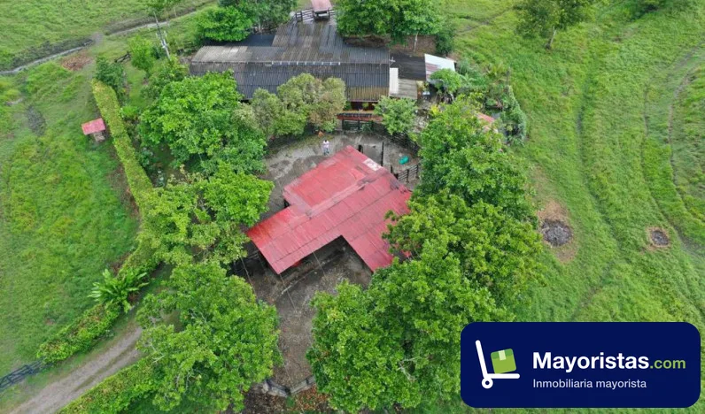 Finca ganadera de 300 ha en Puerto Boyacá, Boyacá — foto 10 de 10