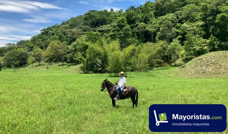 Finca ganadera de 300 ha en Puerto Boyacá, Boyacá — foto 9 de 10
