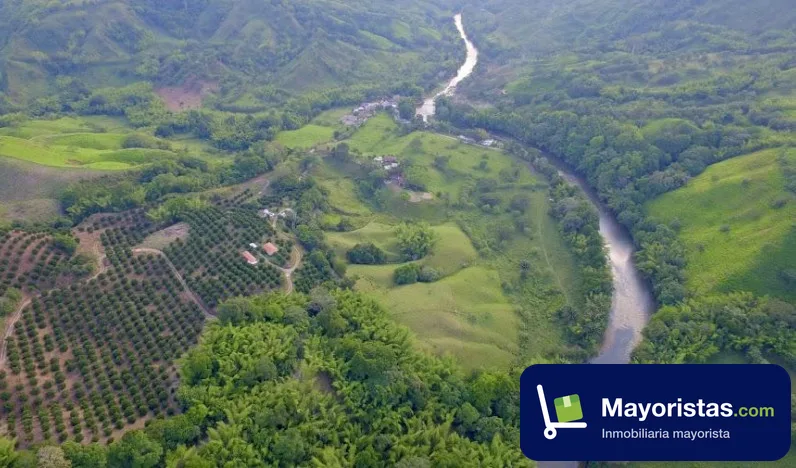 Finca ganadera de 43,5 ha en Quimbaya, Quindío