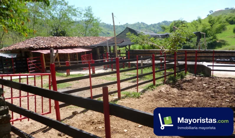 Finca ganadera de 43,5 ha en Quimbaya, Quindío — foto 9 de 10