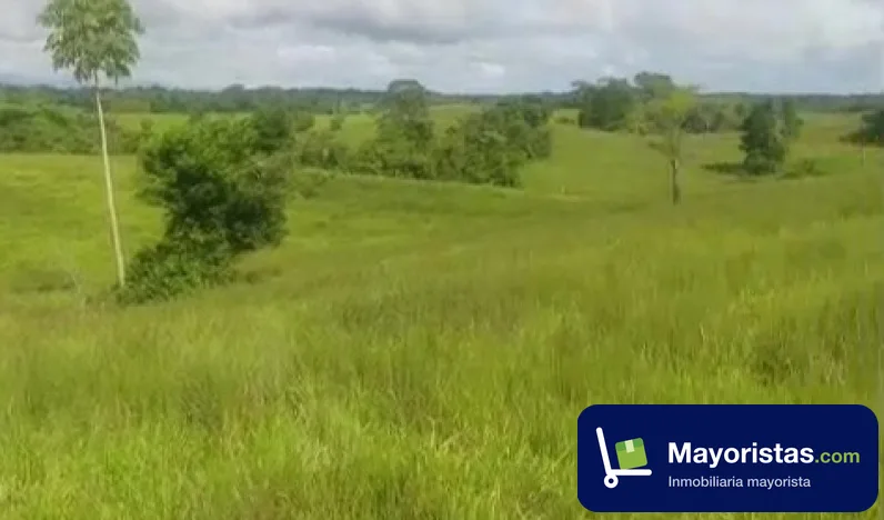 Finca ganadera de 462 ha en Caucasia, Antioquia