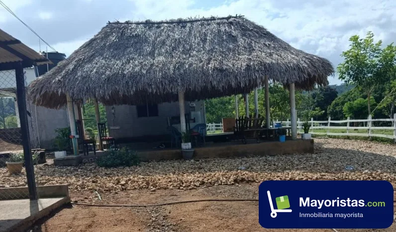 Finca ganadera de 2,1 ha en Montería, Córdoba — foto 9 de 10