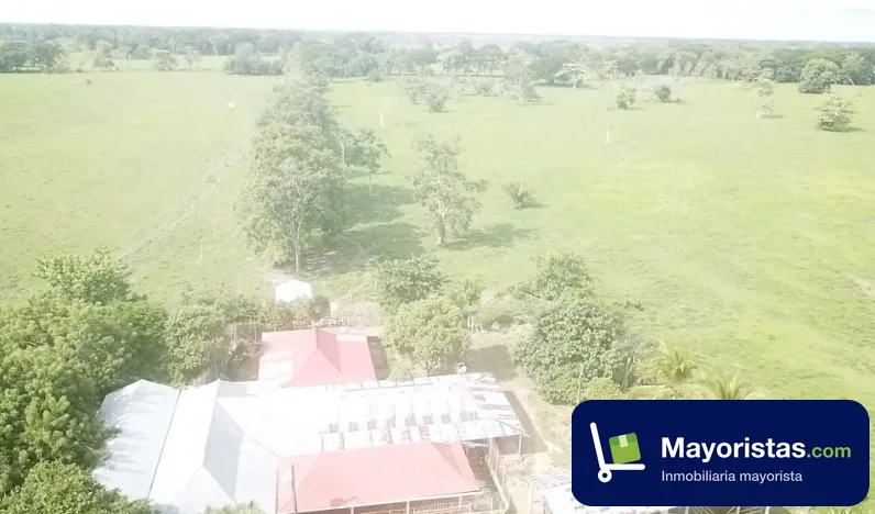 Finca ganadera de 357 ha en San Marcos, Sucre — foto 10 de 10