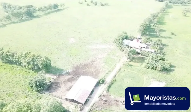 Finca ganadera de 357 ha en San Marcos, Sucre — foto 9 de 10