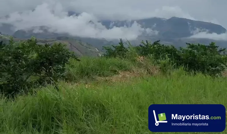 Finca ganadera de 156,8 ha en Tarso, Antioquia — foto 9 de 10