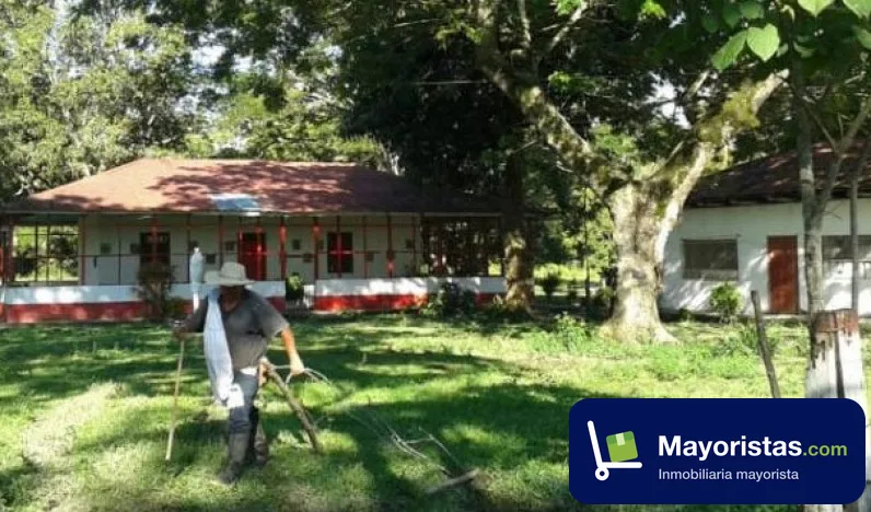 Finca ganadera de 273,9 ha en La Dorada, Caldas — foto 10 de 10