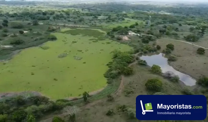 Finca ganadera de 206 ha en Sabanalarga, Atlántico
