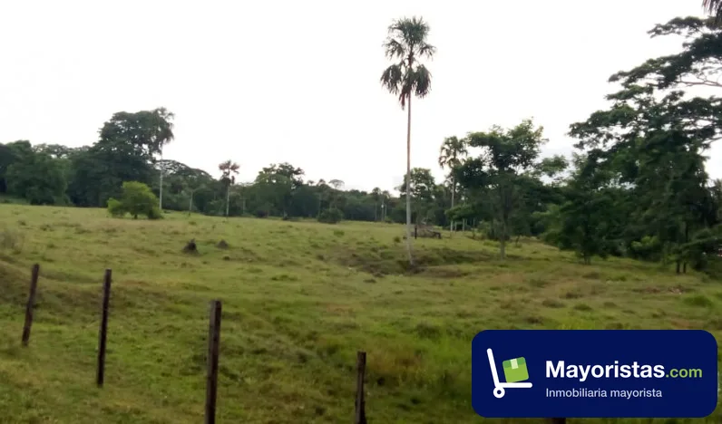 Finca ganadera de 550 ha en San Juan de Urabá, Antioquia