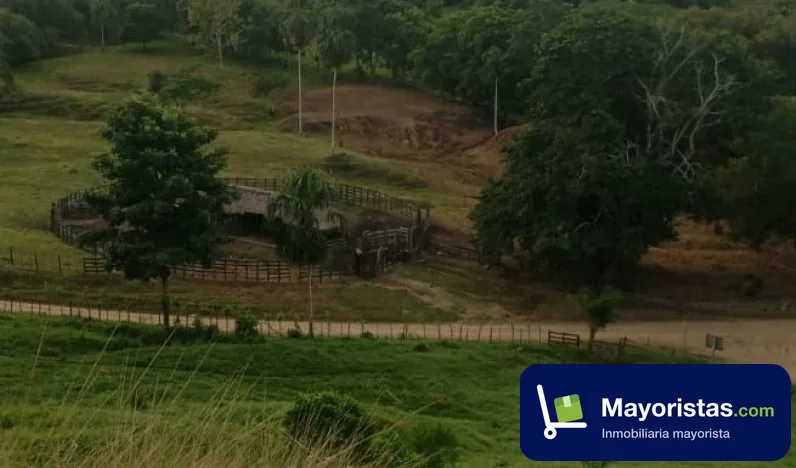 Finca ganadera de 550 ha en San Juan de Urabá, Antioquia — foto 9 de 10