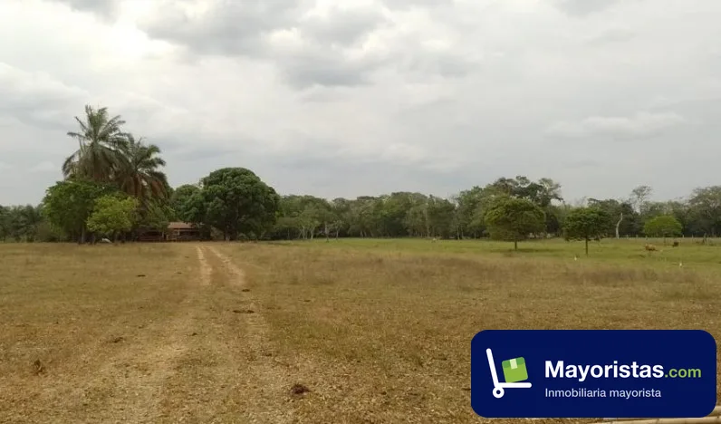 Finca ganadera de 20 ha en Paratebueno, Cundinamarca