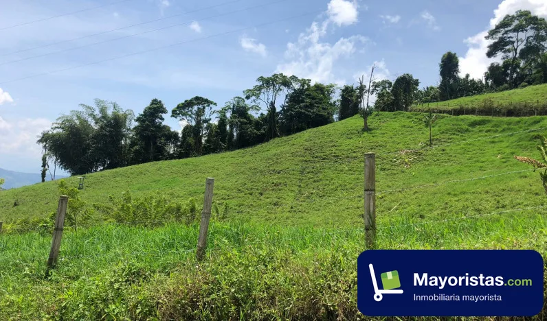Finca ganadera de 33,3 ha en Marsella, Risaralda