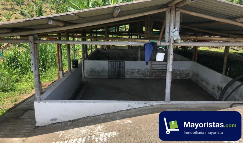 Finca ganadera de 33,3 ha en Marsella, Risaralda — foto 10 de 10