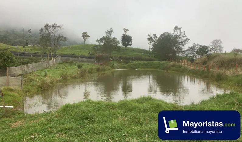 Finca ganadera de 6 ha en Briceño, Boyacá — foto 9 de 10