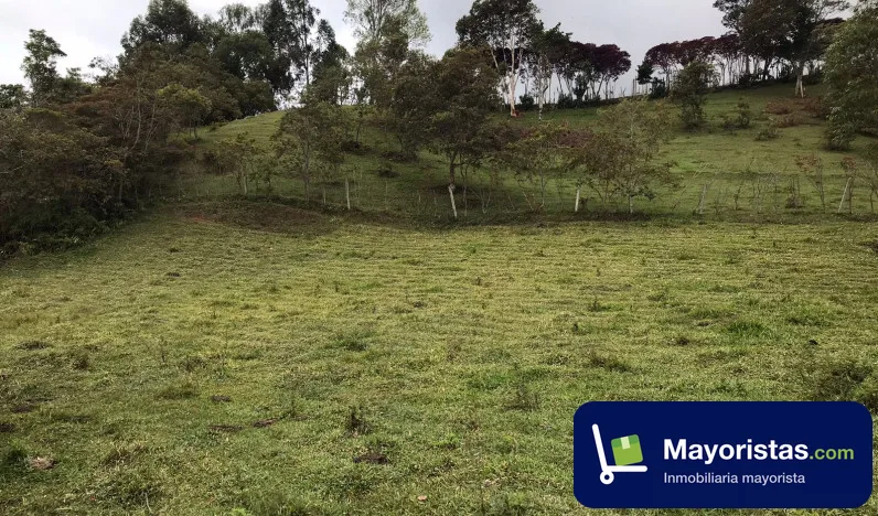 Finca ganadera de 4,7 ha en Guaca, Santander