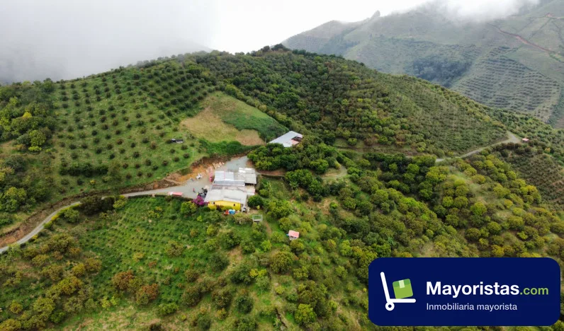 Finca agrícola de 23 ha en Aguadas, Caldas — foto 9 de 10