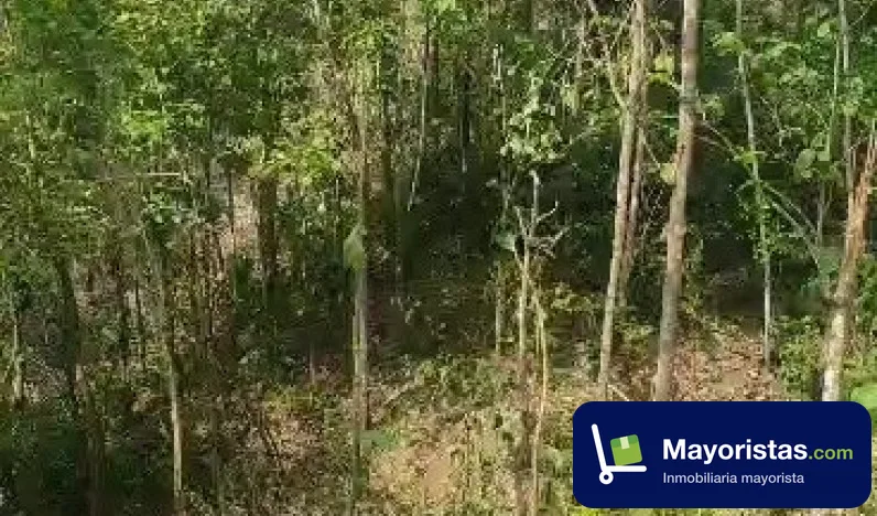 Finca agrícola de 125 ha en San Onofre, Sucre