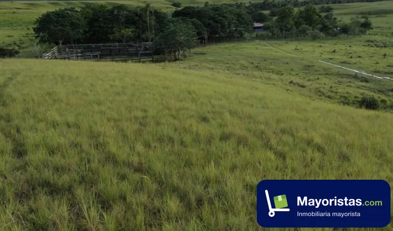 Finca ganadera de 528 ha en Cumaribo, Vichada