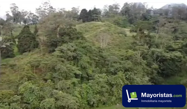 Finca ganadera de 6 ha en San Francisco, Cundinamarca — foto 9 de 9