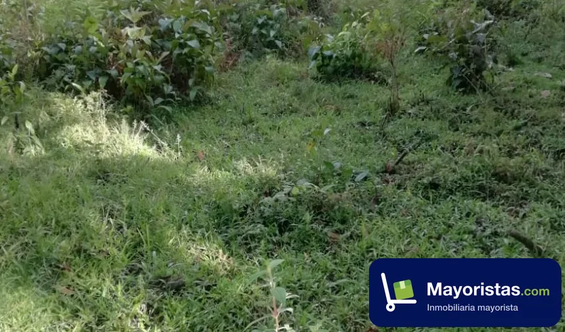 Finca agrícola de 9,2 ha en Cunday, Tolima — foto 10 de 10