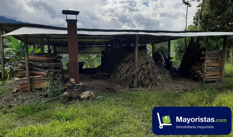 Finca cafetera de 40 ha en Recetor, Casanare — foto 9 de 9