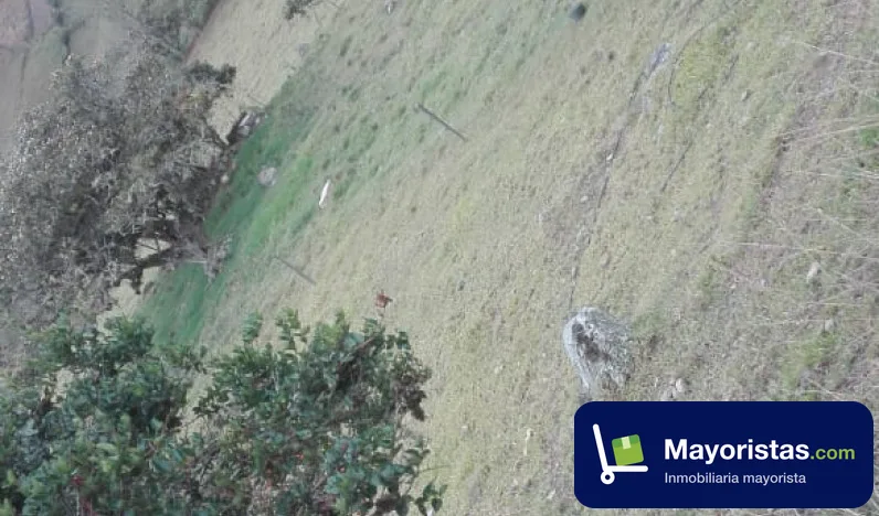 Finca ganadera de 4 ha en Gachetá, Cundinamarca
