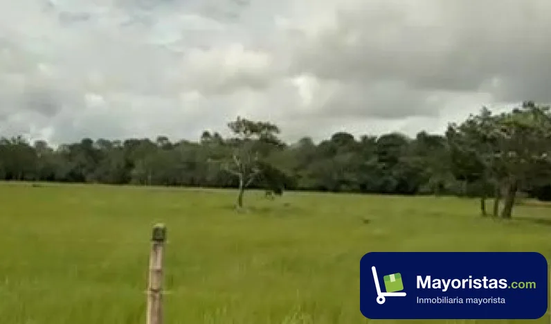 Finca ganadera de 101 ha en Orocué, Casanare — foto 10 de 10
