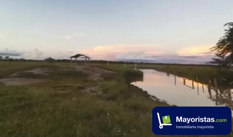 Finca ganadera de 101 ha en Orocué, Casanare — foto 9 de 10